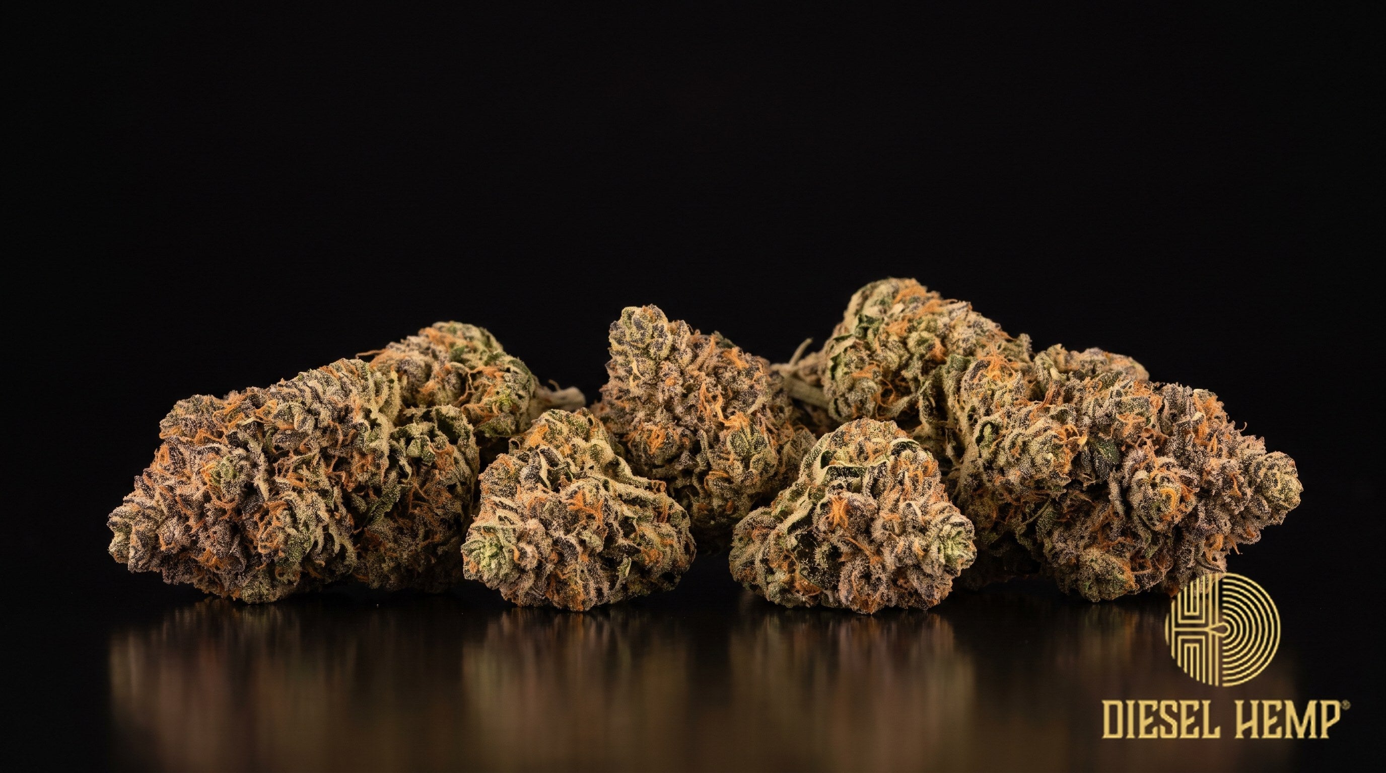 Dante's Inferno strain cannabis buds, dense spiky forest-green nugs with dark purple flecks, thin dark-orange hairs and a heavy snow-white trichome coat on a black background | Diesel Hemp