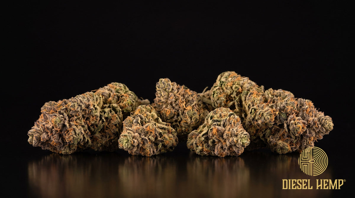 Dante's Inferno strain cannabis buds, dense spiky forest-green nugs with dark purple flecks, thin dark-orange hairs and a heavy snow-white trichome coat on a black background | Diesel Hemp