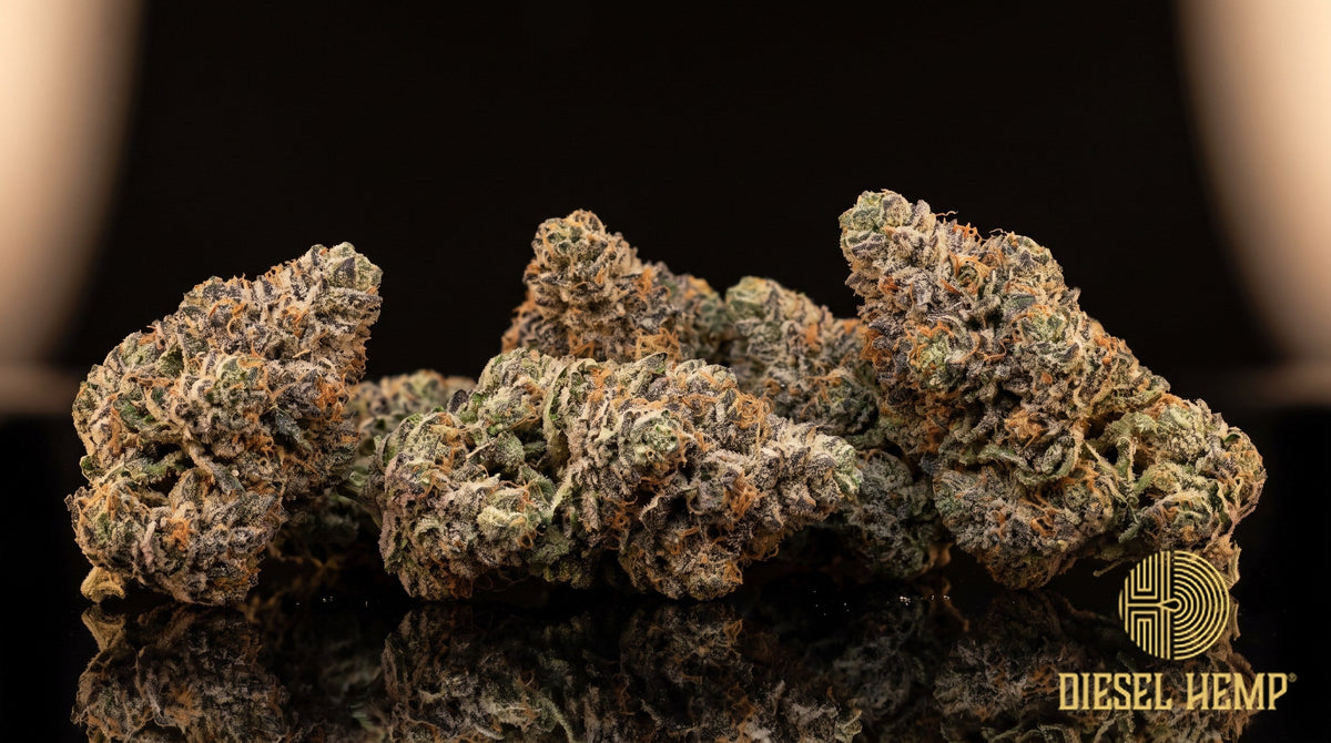 Detroit Runtz strain cannabis buds in dark olive green with deep purple undertones, thin orange pistils and a heavy trichome frost on a black background | Diesel Hemp