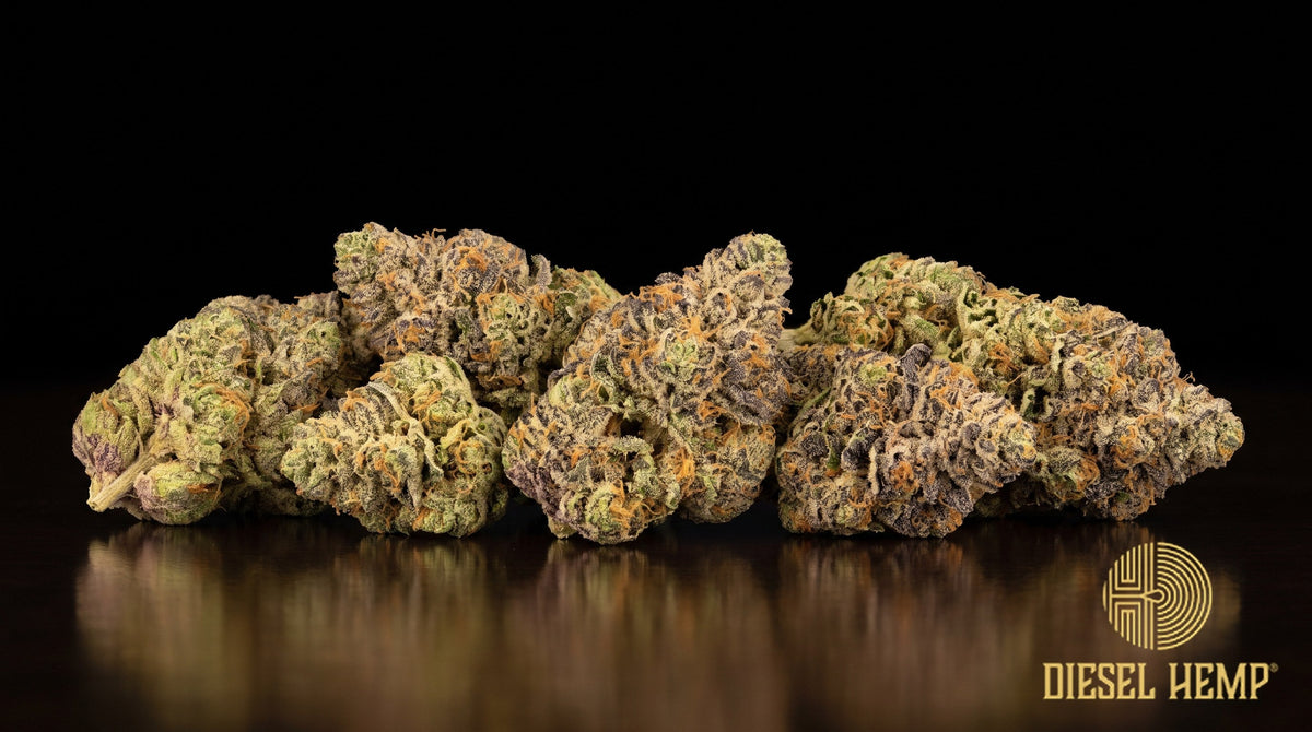 Dirty Sprite strain cannabis buds in lime and forest green with purple hints, orange pistils and heavy trichome frost on a black background | Diesel Hemp