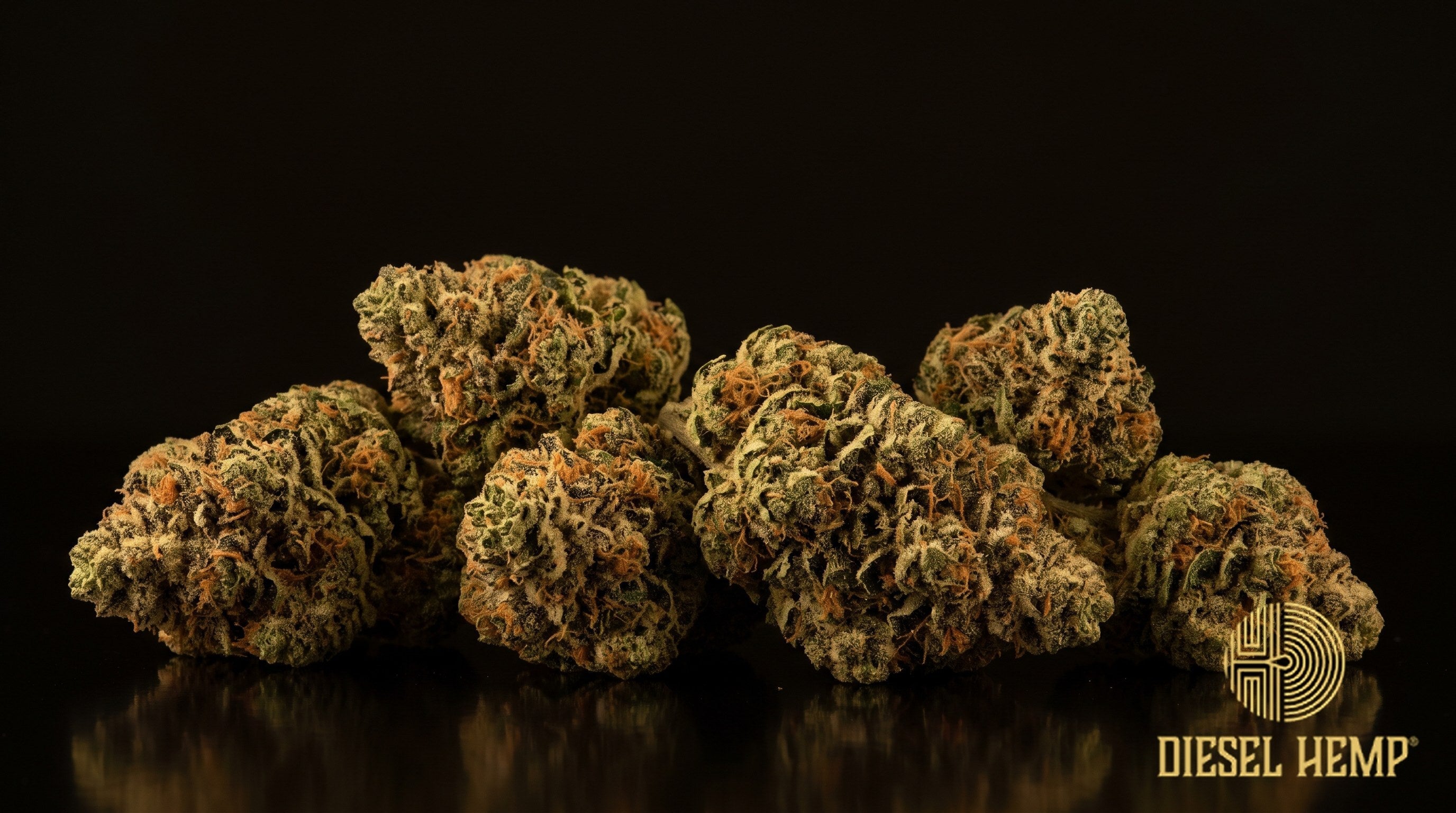 Don Mega strain cannabis buds in forest green with deep purple shading, long amber-orange pistils and a heavy coat of white trichomes on a black background | Diesel Hemp