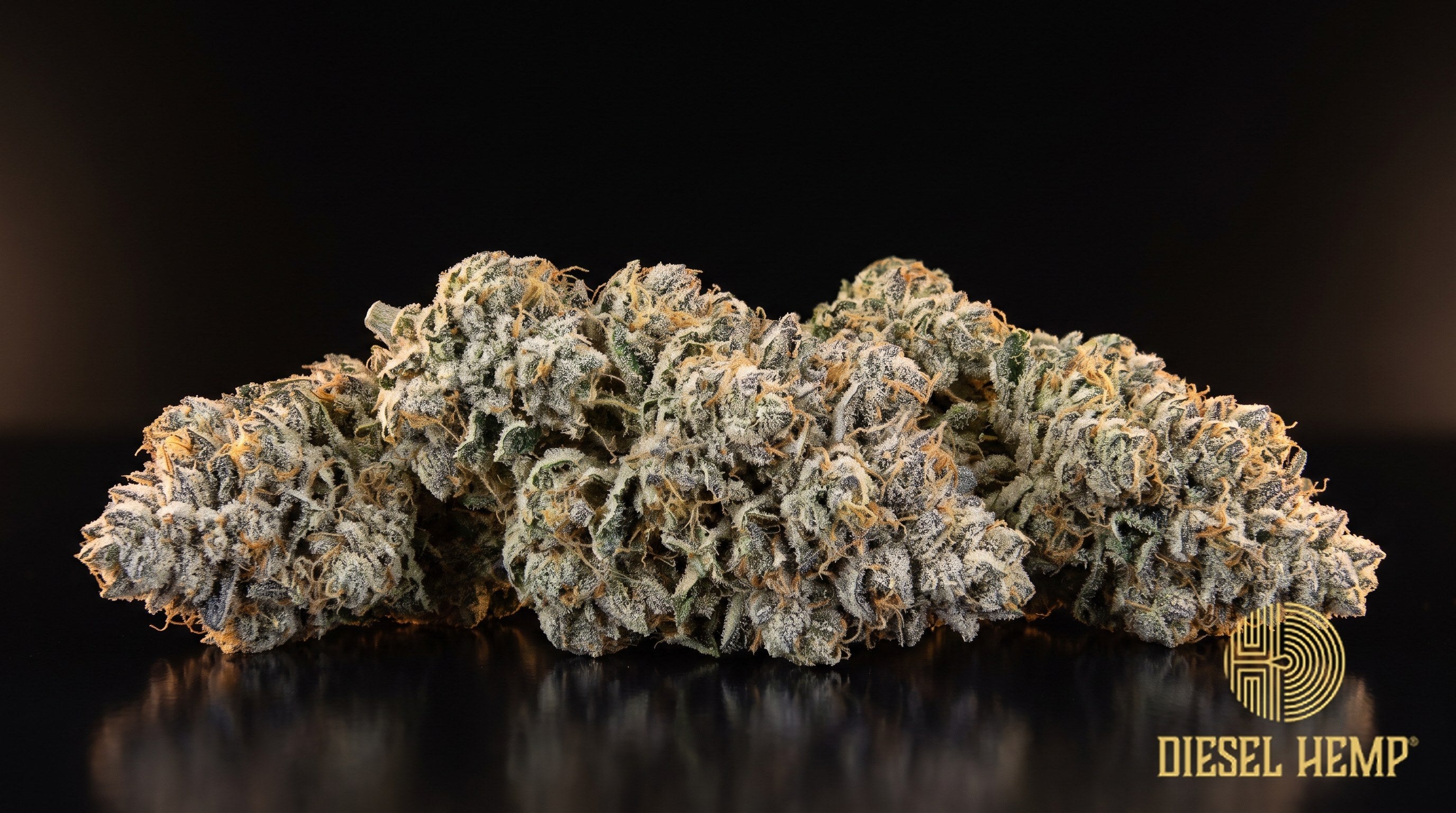 Duct Tape strain cannabis buds — dense, spade-shaped lime-green nugs with rust-orange pistils and a thick, sticky coat of milky trichomes on a black background | Diesel Hemp