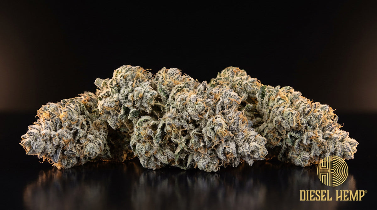 Duct Tape strain cannabis buds — dense, spade-shaped lime-green nugs with rust-orange pistils and a thick, sticky coat of milky trichomes on a black background | Diesel Hemp