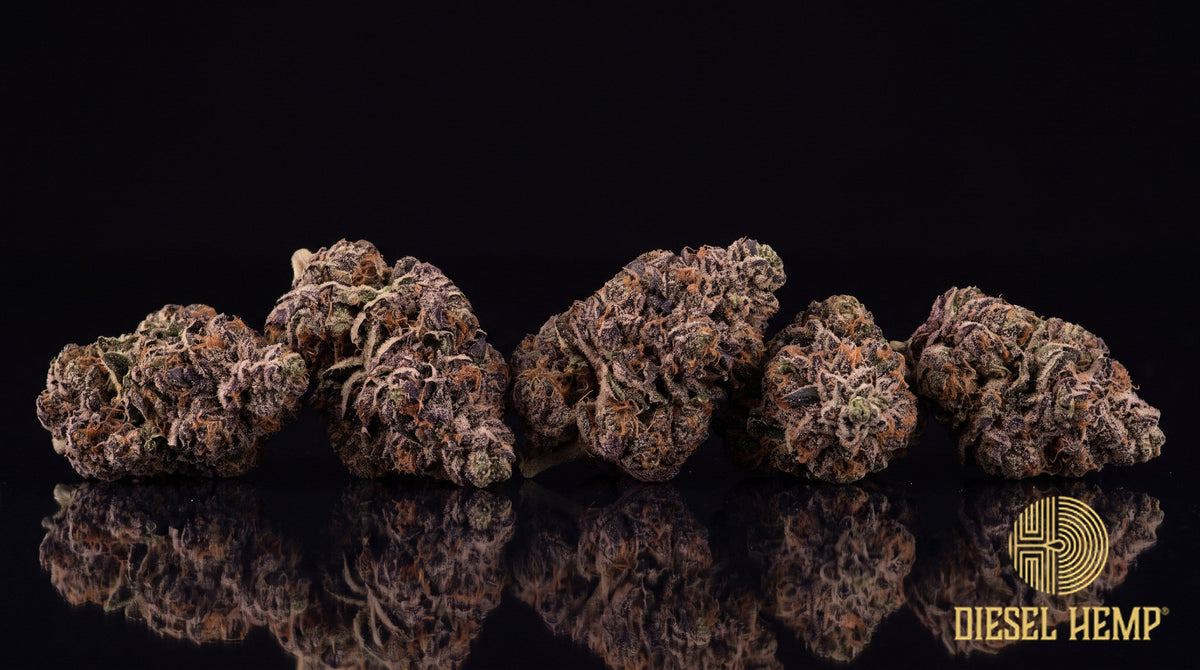 Dulce de Uva strain cannabis buds with forest-green calyxes, dark purple sugar leaves and a heavy frost of trichomes on a black background | Diesel Hemp