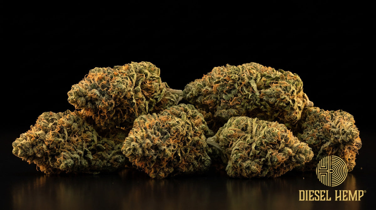 E85 strain cannabis buds, dense olive-green nugs with red-orange pistils and amber-tinted trichome frost on a black background | Diesel Hemp