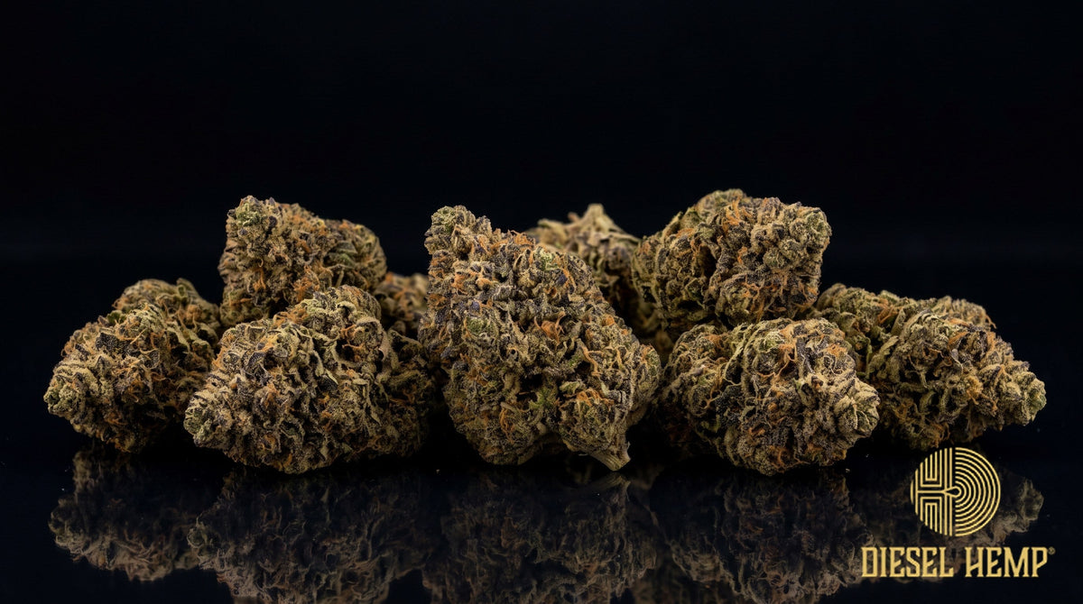Fatso strain cannabis buds — chunky, dense olive-green nugs with orange pistils and a heavy milky trichome coat on a black background | Diesel Hemp