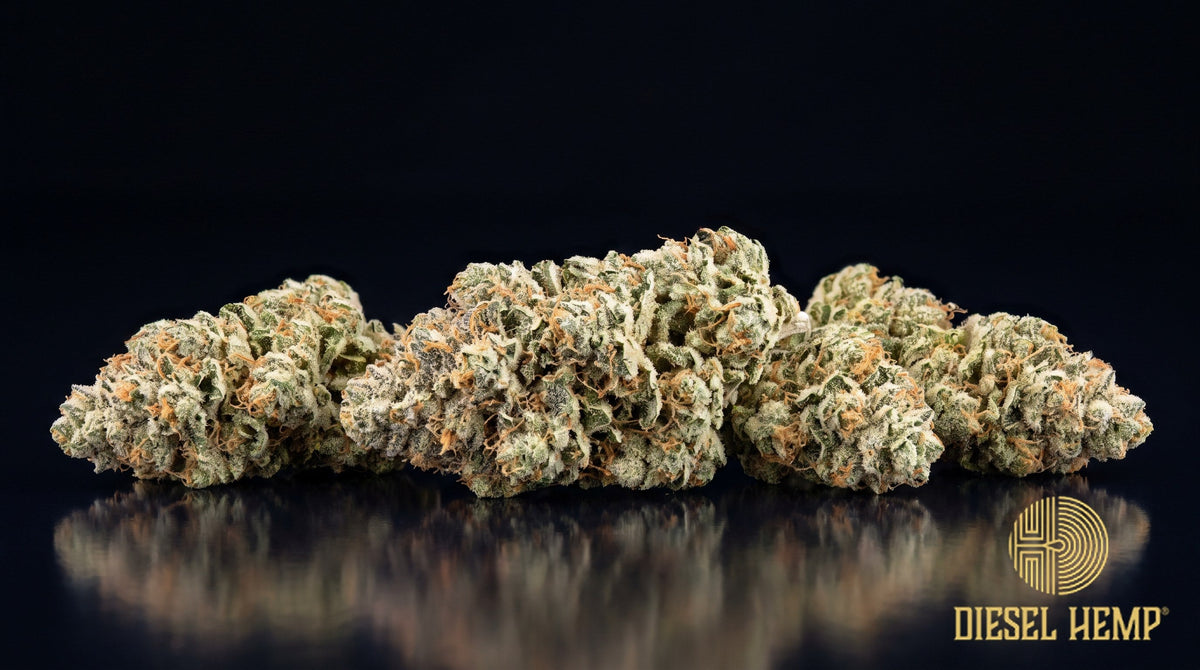 Frosted Flakes strain cannabis buds in pale lime green with thin orange pistils under a thick, sugar-white trichome coat on a black background | Diesel Hemp