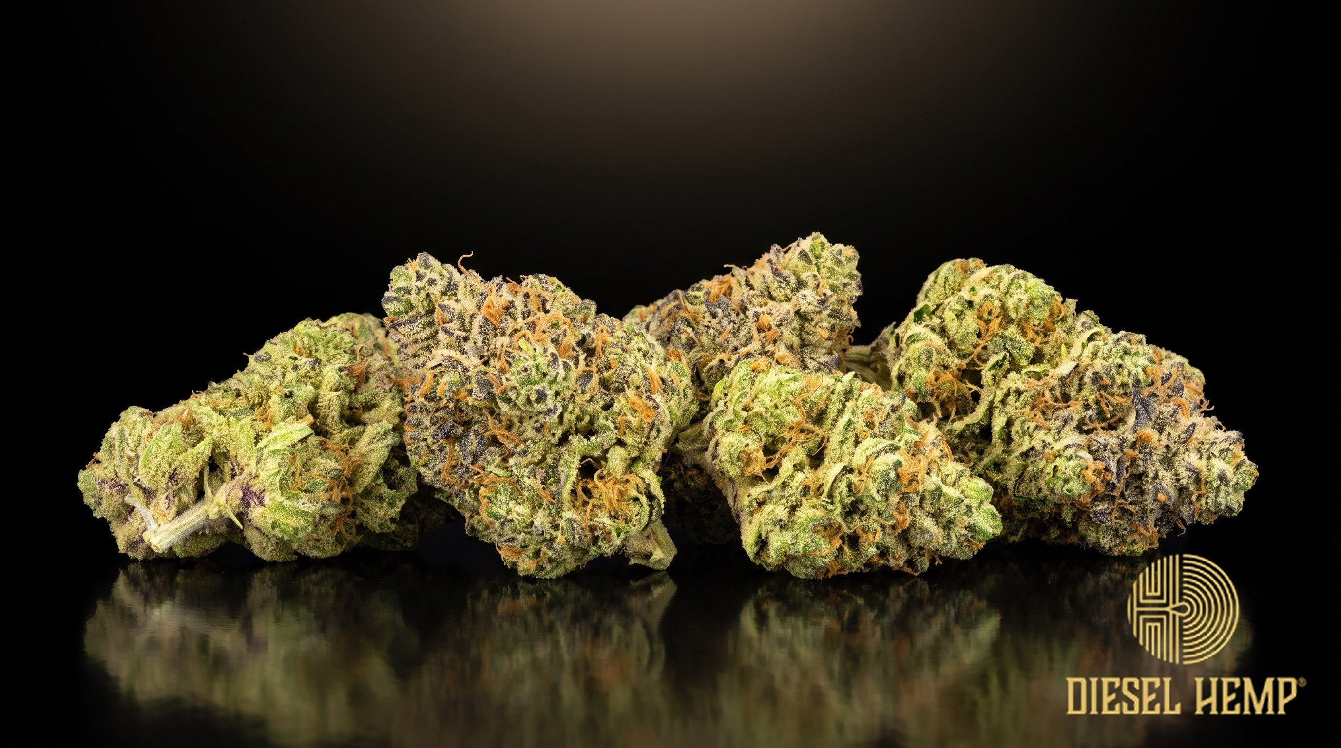 Galactic Warheads strain cannabis buds in neon green with purple undertones, thick orange pistils and a heavy frost of trichomes on a black background | Diesel Hemp
