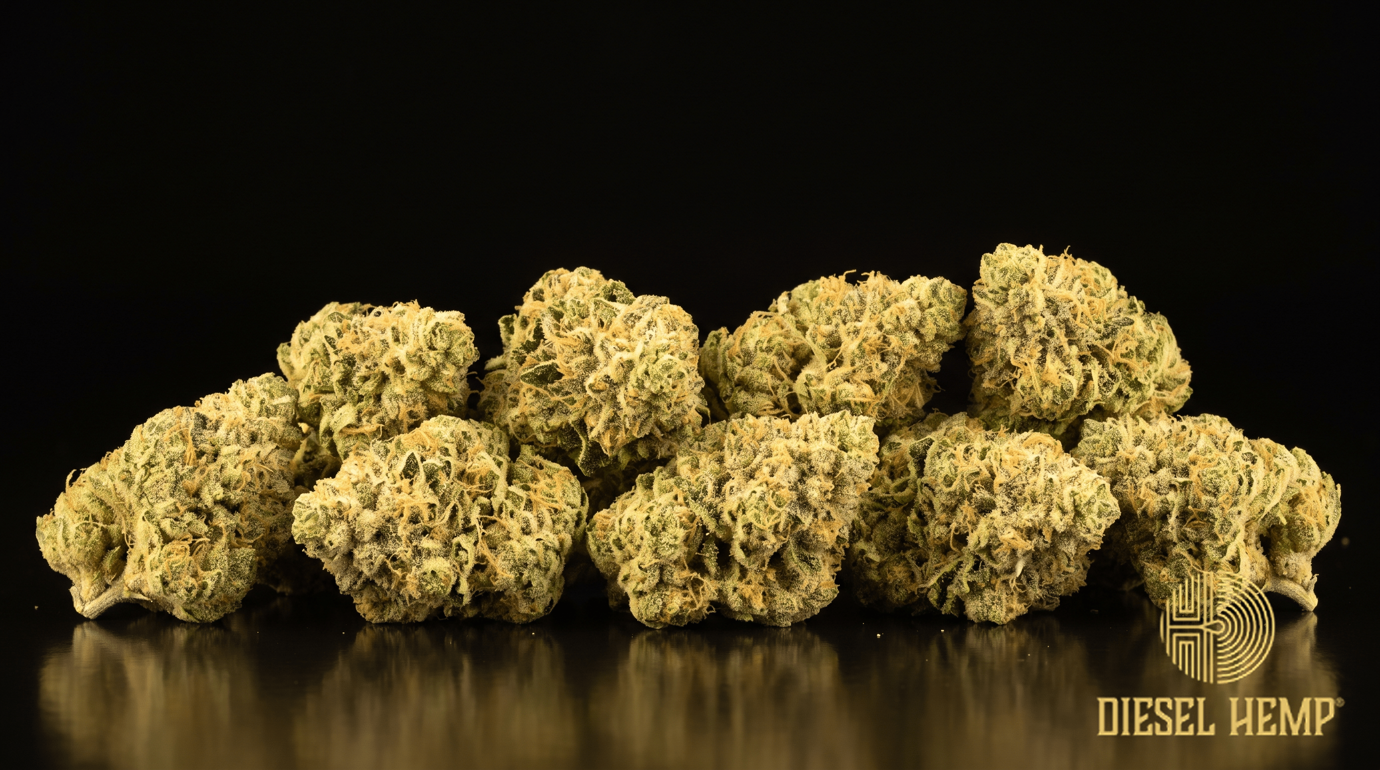 Gelonade strain cannabis flower buds on black background — frosty lime-green Lemon Tree × Gelato 41 buds | Diesel Hemp