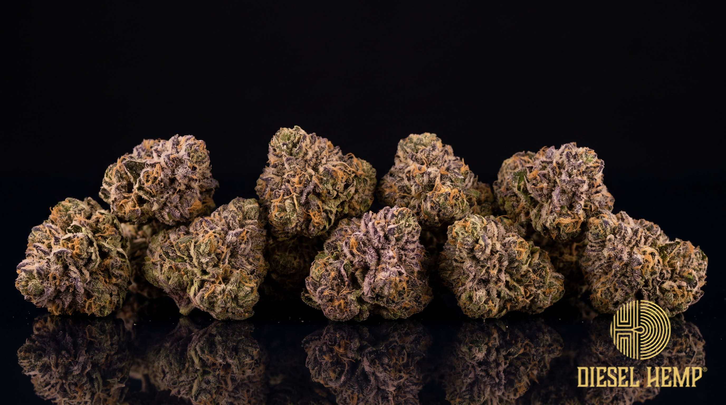 Georgia Pie strain cannabis flower buds in olive green with purple undertones and frosty trichomes on a black background | Diesel Hemp