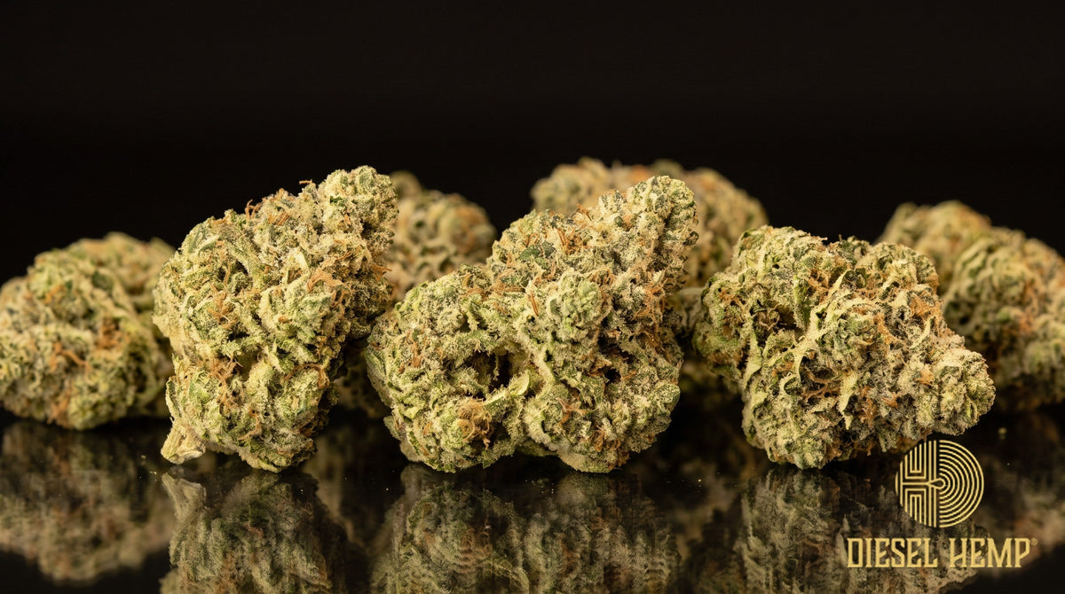 Ghost OG strain cannabis buds — dense, frosty green nugs with orange pistils and a heavy trichome coat on a black background | Diesel Hemp