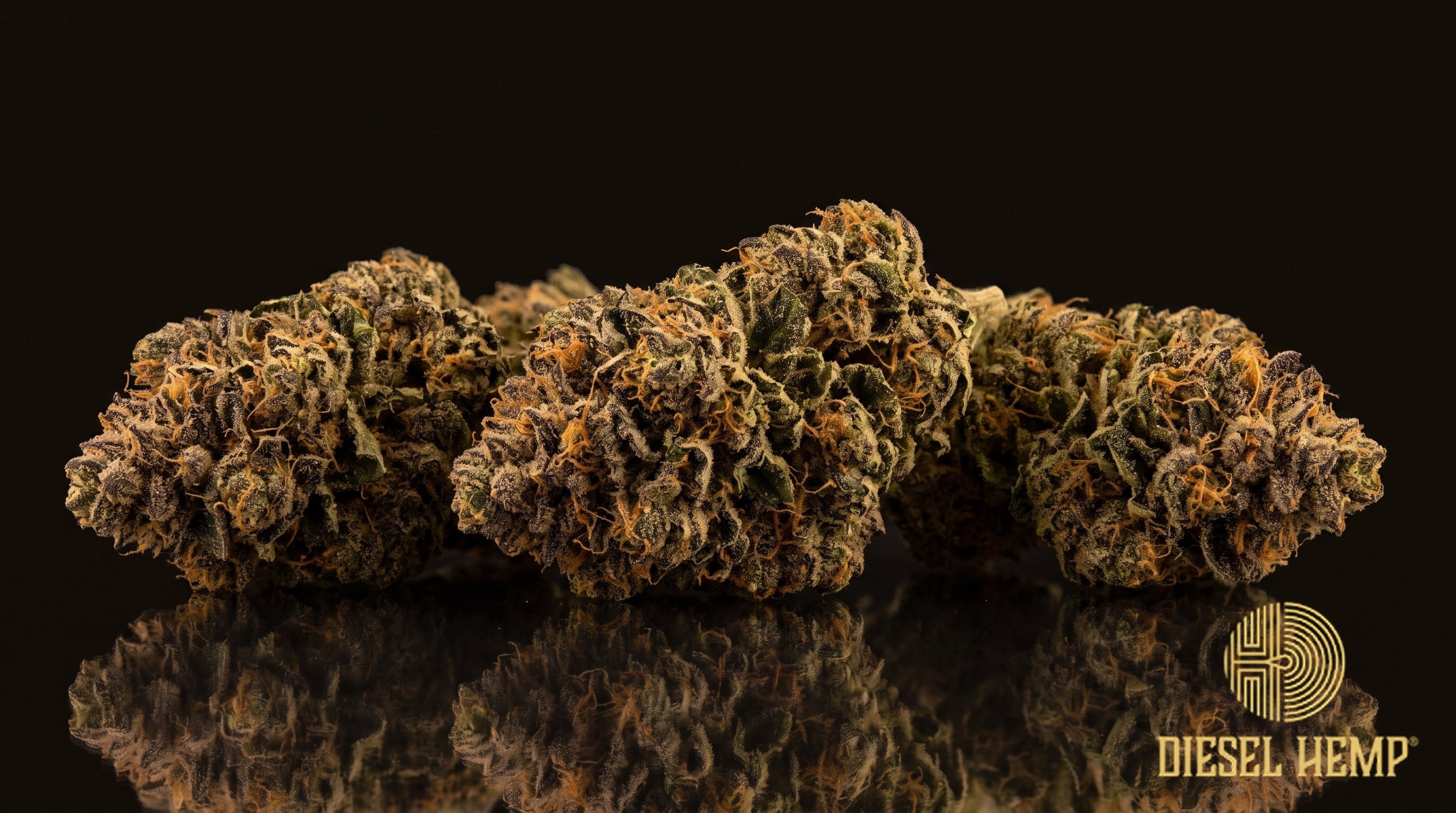 Godfather OG strain cannabis buds — dense, frosty light-to-dark green nugs with orange and purple-tinged pistils on a black background | Diesel Hemp