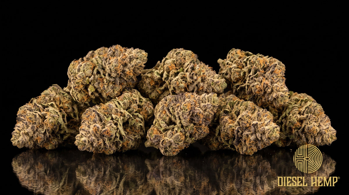 Gorilla Cookies strain cannabis buds — dense minty-green nugs with purple undertones, reddish-orange pistils and a heavy trichome coat on a black background | Diesel Hemp