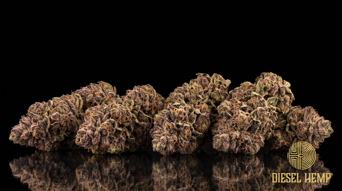 Grape Cream Cake strain cannabis buds in deep purple and green with orange pistils and a heavy frost of trichomes on a black background | Diesel Hemp