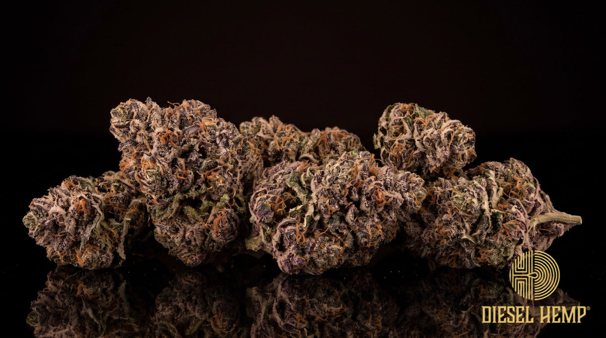 Grape Pie strain cannabis buds in dark olive green with deep purple hues, orange pistils and a heavy frost of trichomes on a black background | Diesel Hemp