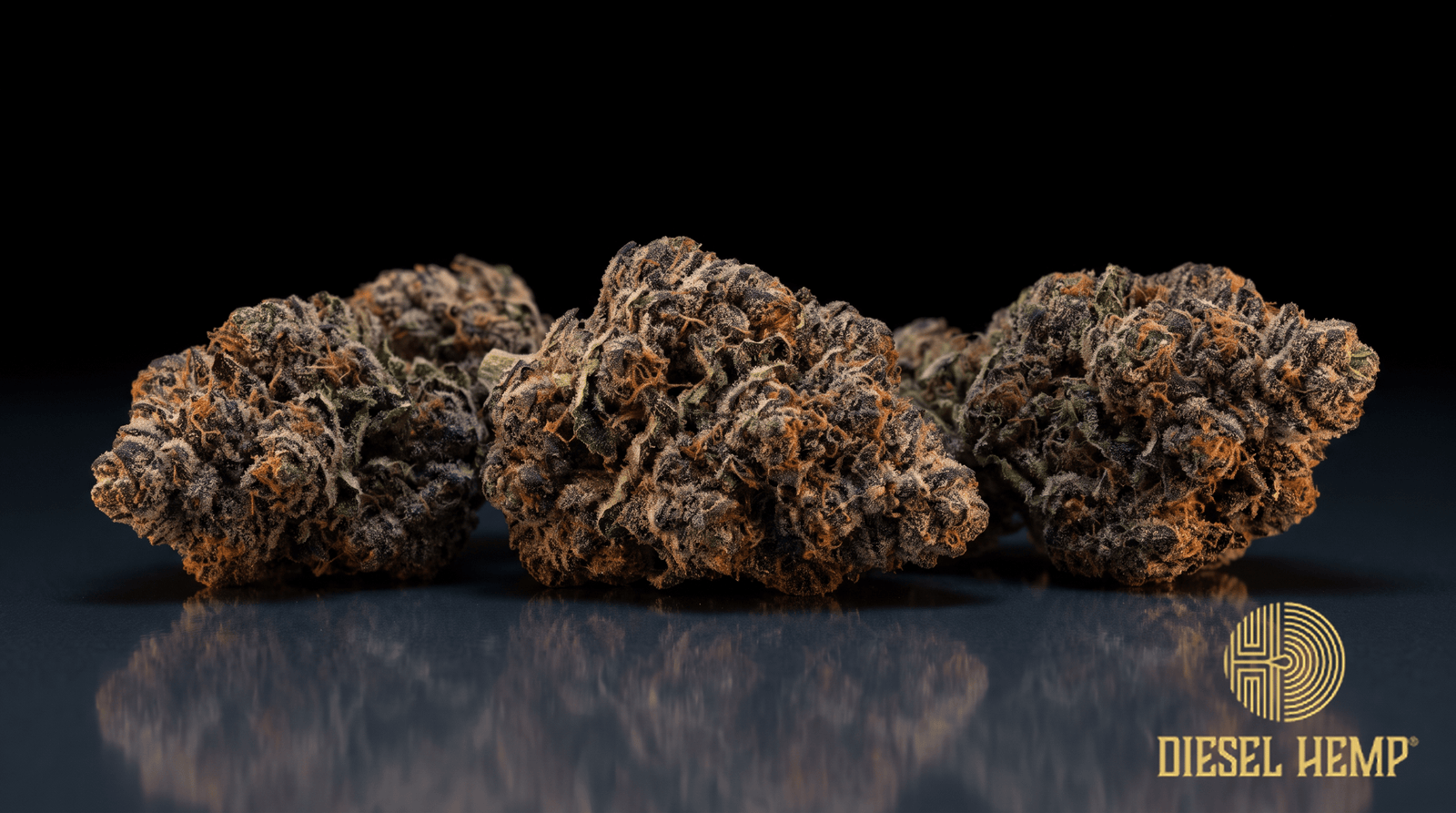 Gumbo strain cannabis flower buds in deep purple with orange pistils and white trichomes on a black background | Diesel Hemp