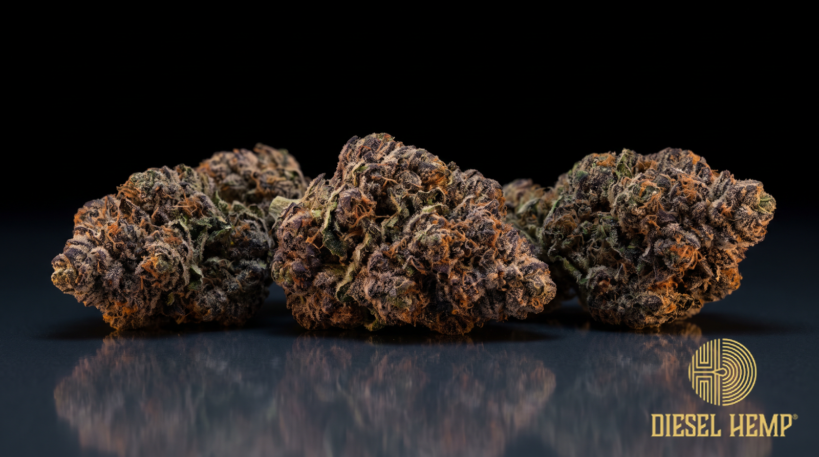 Gumbo strain cannabis flower buds in deep purple with orange pistils and white trichomes on a black background | Diesel Hemp