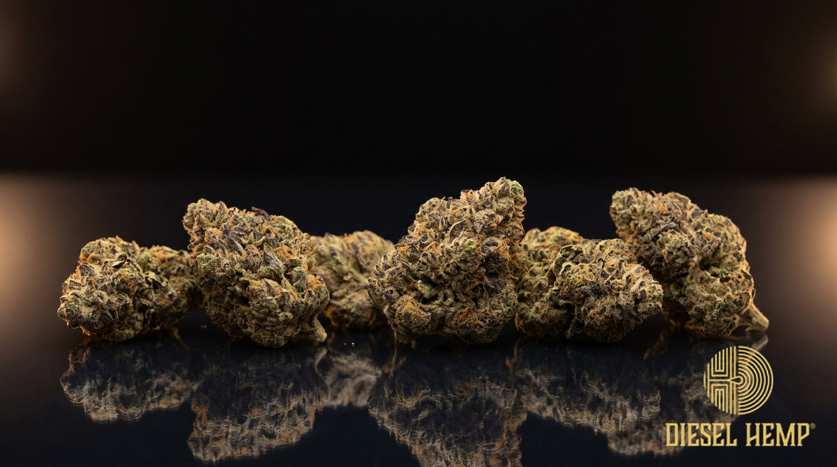 Han Solo Burger strain cannabis buds in deep green with purple hues, bright orange pistils and a heavy coat of white trichomes on a black background | Diesel Hemp