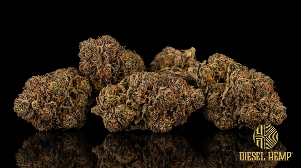 Hashburger strain cannabis buds, dense and spear-shaped, forest green with purple flashes, tan pistils and a thick trichome frost on a black background | Diesel Hemp