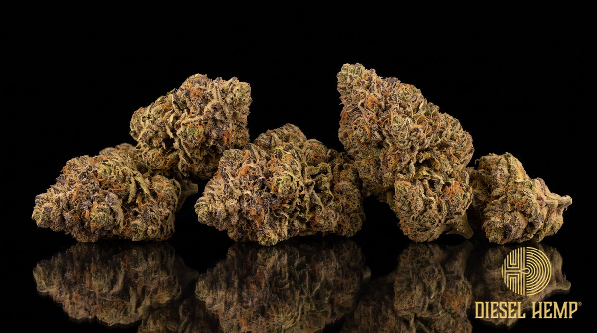 High Octane strain cannabis buds in minty green with dark undertones, sparse orange pistils and a thick white trichome frost on a black background | Diesel Hemp