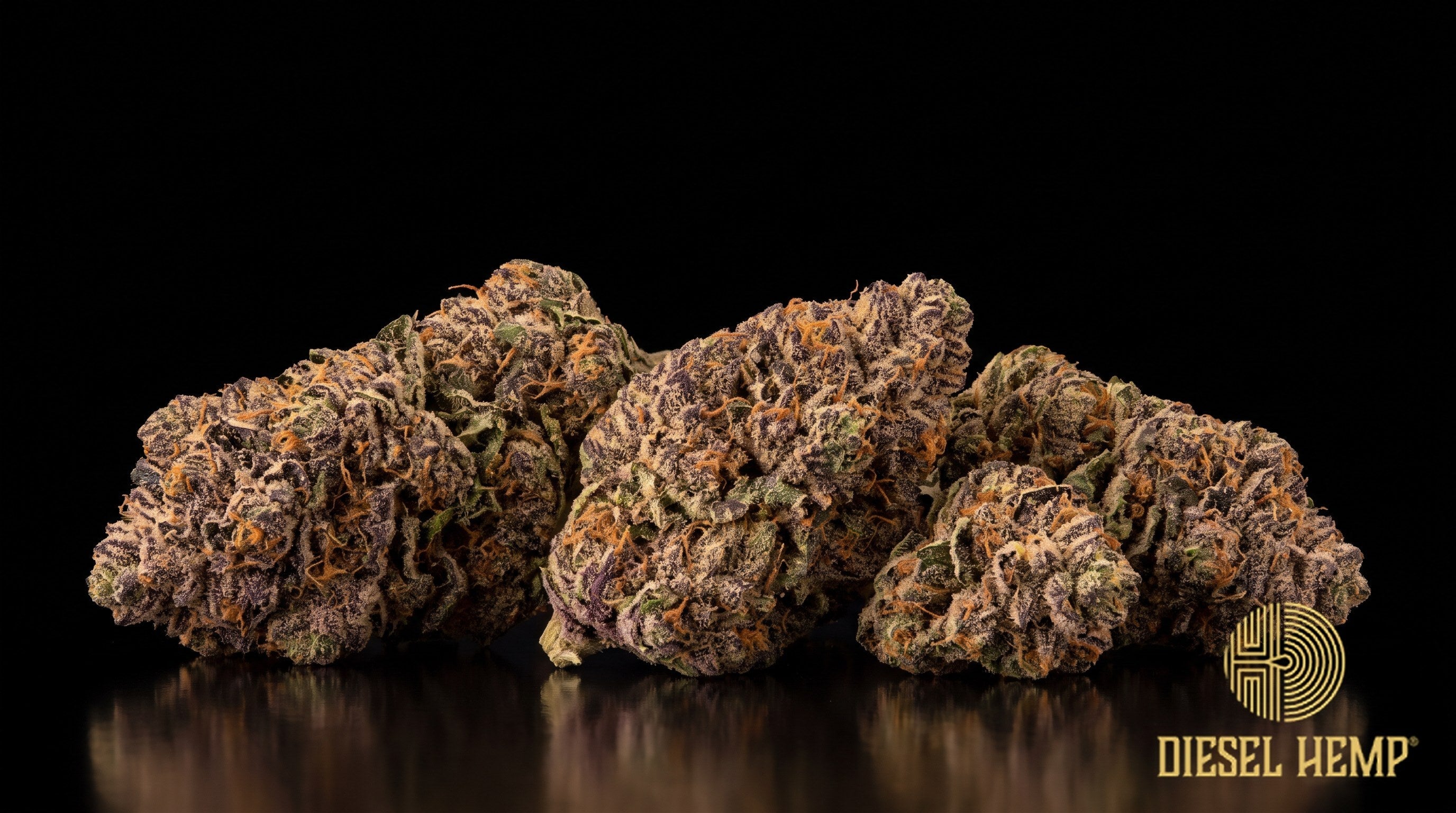 Hippie Crasher strain cannabis buds in frosted light green with purple flecks, orange pistils and a heavy white trichome coat on a black background | Diesel Hemp