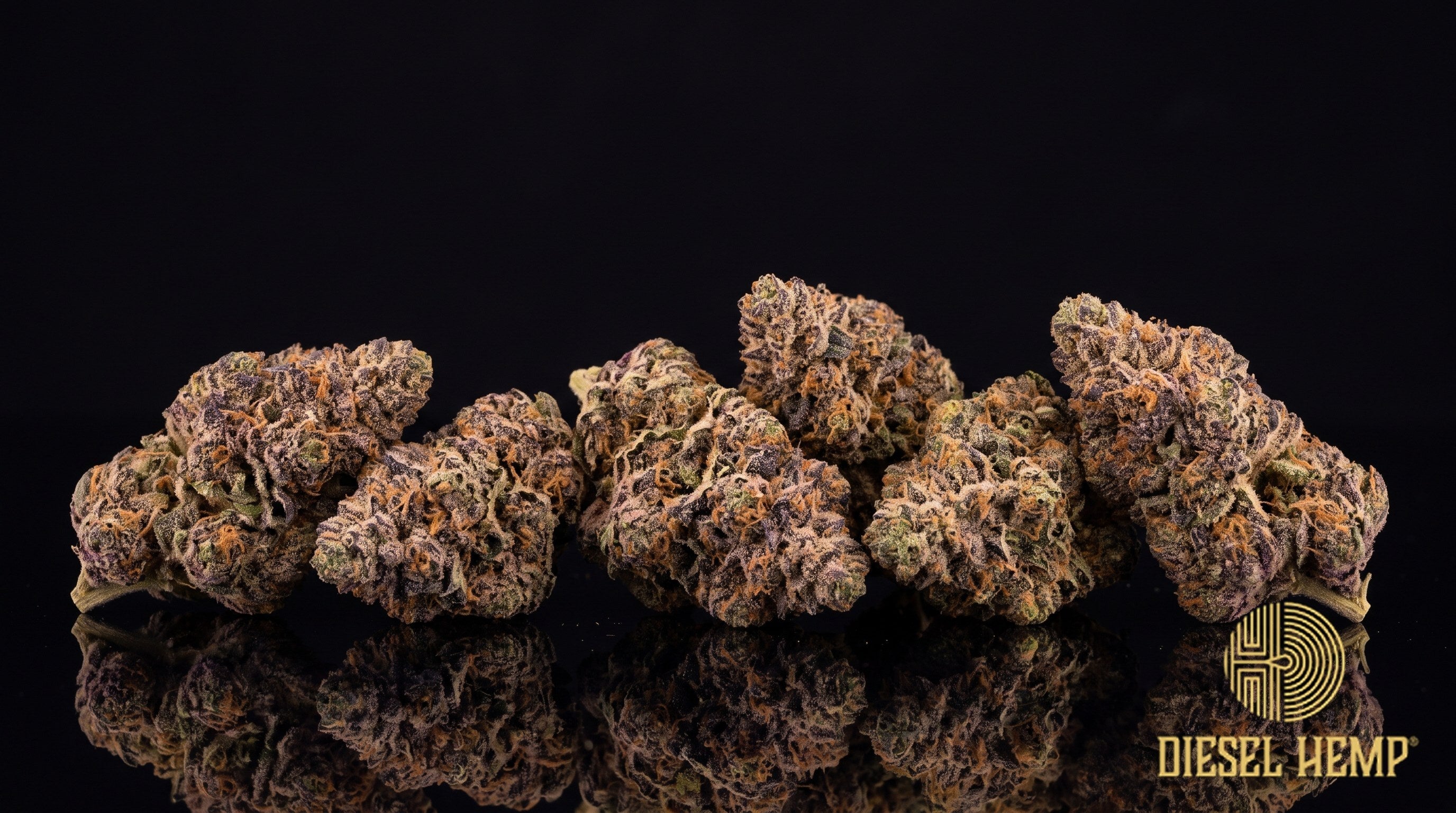 Jelly Donut strain cannabis buds in deep green with purple hues, orange pistils and heavy trichome frost on a black background | Diesel Hemp