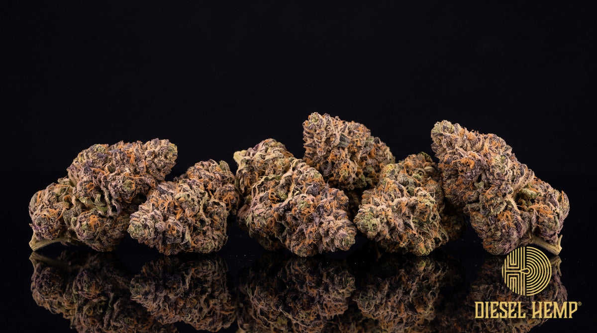 Jelly Donut strain cannabis buds in deep green with purple hues, orange pistils and heavy trichome frost on a black background | Diesel Hemp