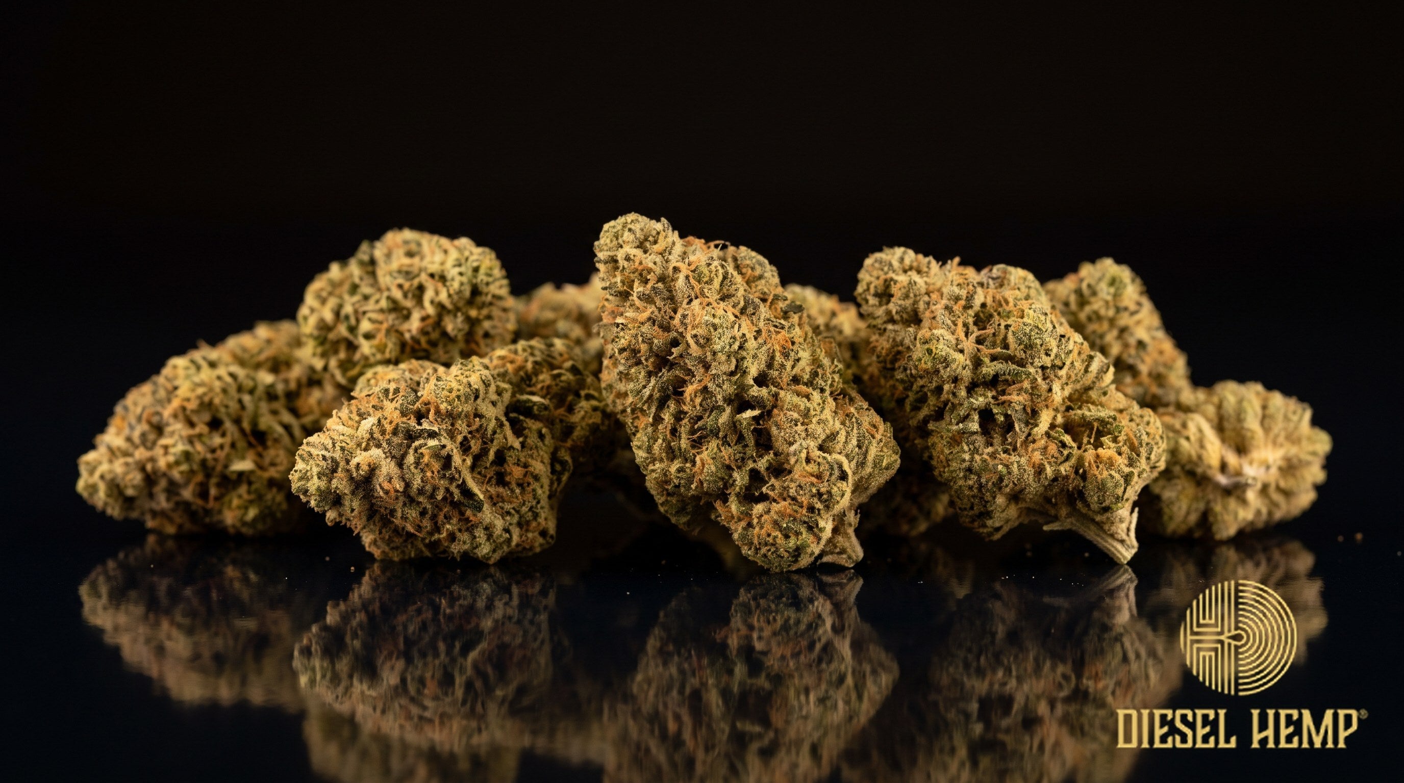 Jenny Kush strain cannabis buds in bright green with peach-orange pistils and a heavy white trichome coat on a black background | Diesel Hemp
