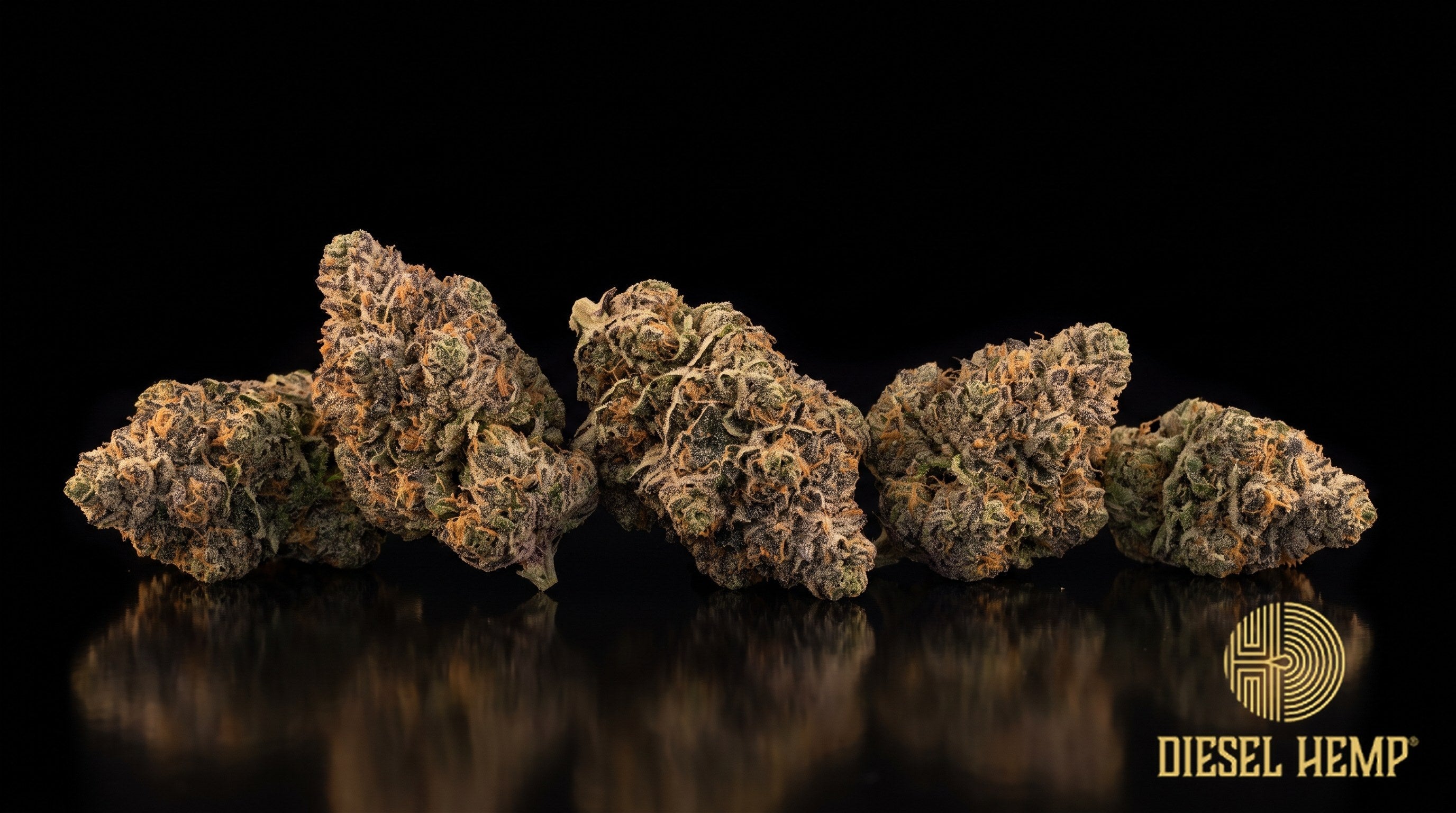 Jet Fuel Gelato strain cannabis buds in lime green with purple shading, bright orange pistils and a heavy coat of crystal trichomes on a black background | Diesel Hemp
