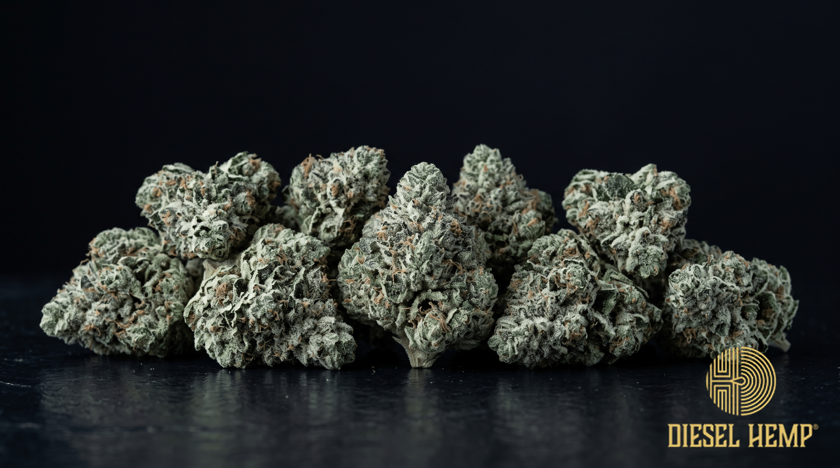 Jet Fuel strain - deep olive green cannabis buds with rust-orange pistils and bright crystal trichomes on black - Diesel Hemp