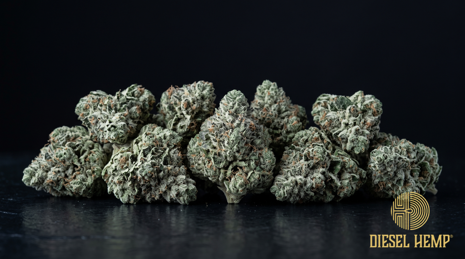 Jet Fuel strain - deep olive green cannabis buds with rust-orange pistils and bright crystal trichomes on black - Diesel Hemp