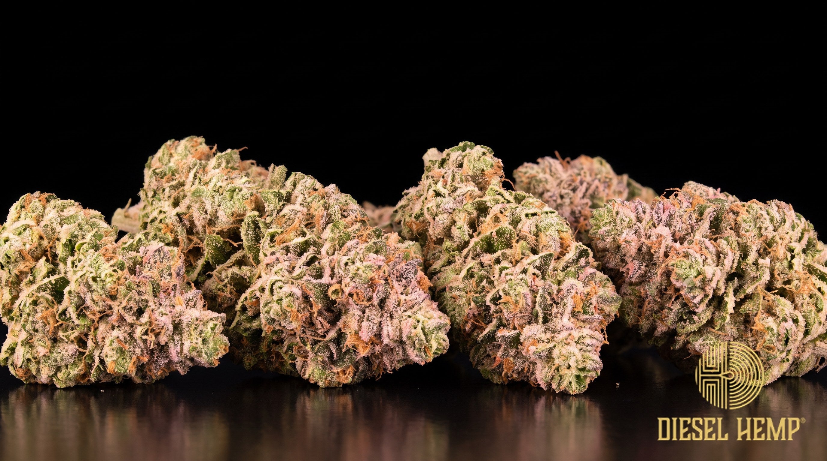 Jolly Rancher strain cannabis buds in minty green with long twisting orange pistils and a fine white trichome frost on a black background | Diesel Hemp