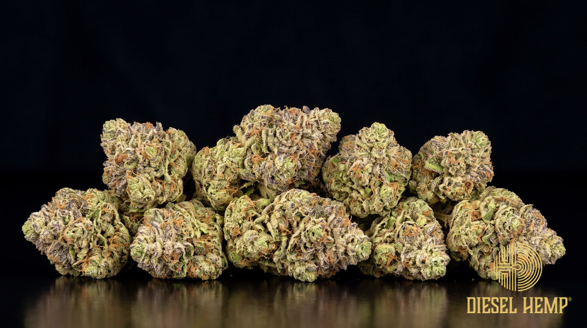 Jungle Cake strain cannabis buds in deep forest green with purple hints, thin orange pistils and heavy white trichome frost on a black background | Diesel Hemp