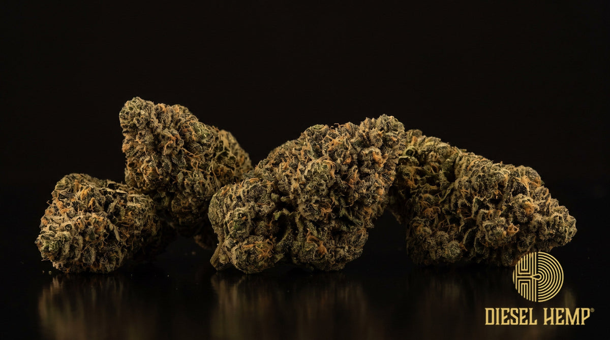 Kosher Kush strain cannabis buds, dense deep-green OG nugs with orange pistils and a heavy white trichome coat on a black background | Diesel Hemp