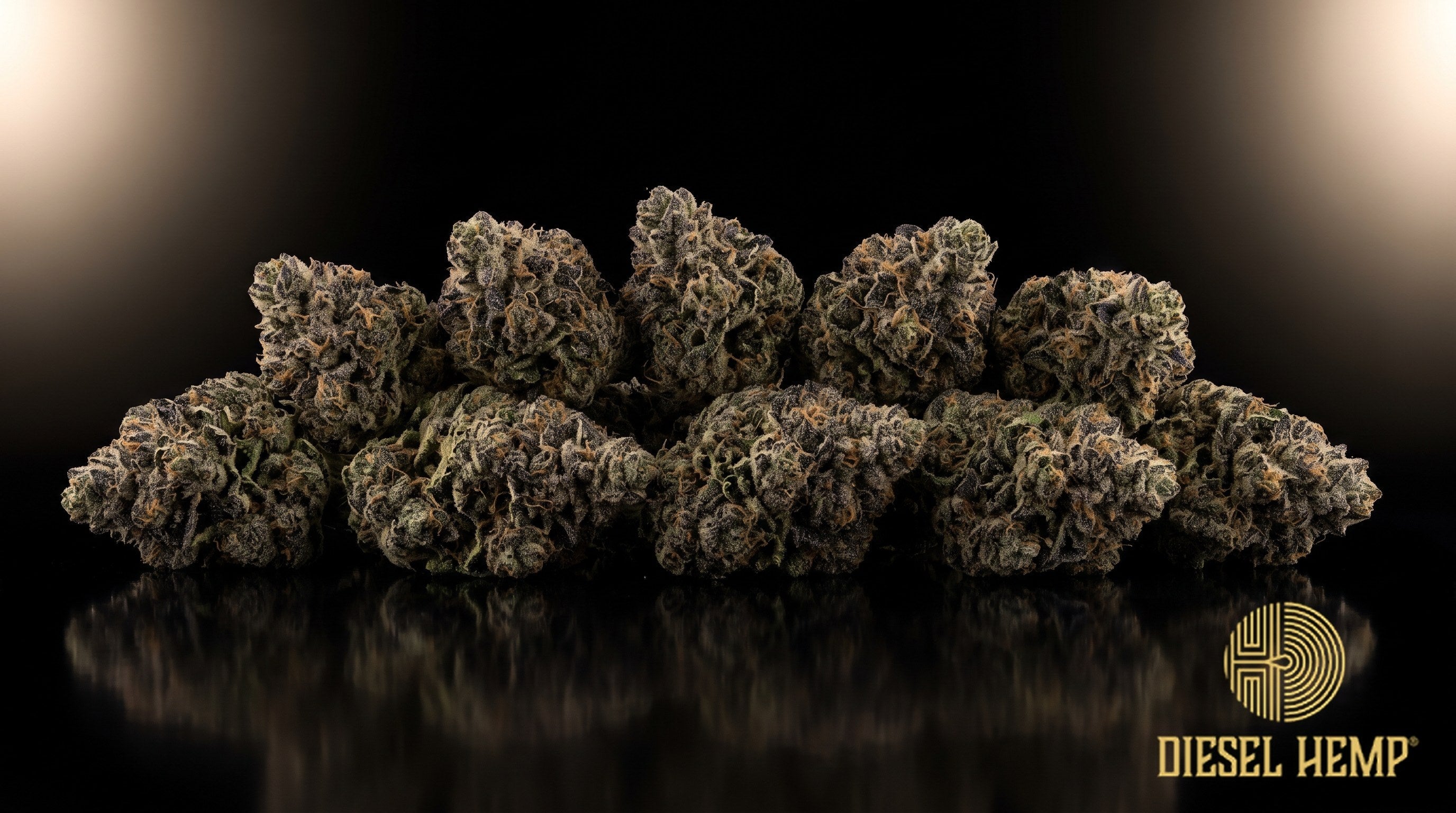 LA Confidential strain cannabis buds in dense dark forest green with subtle purple hints, thick trichome frost and orange pistils on a black background | Diesel Hemp