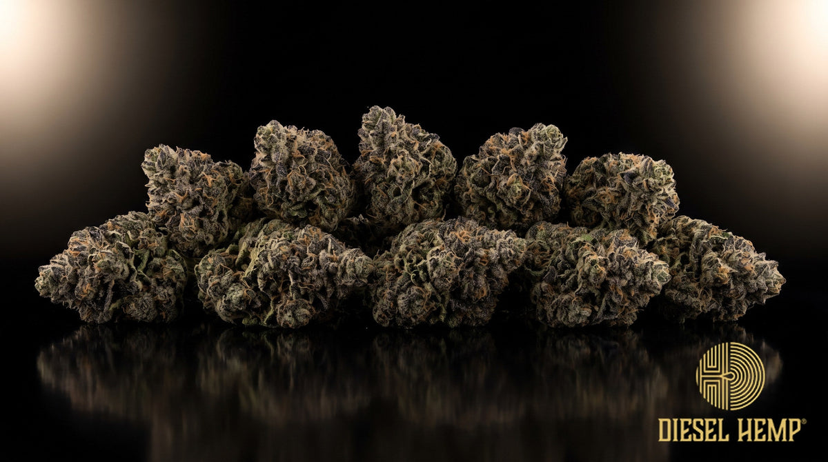 LA Confidential strain cannabis buds in dense dark forest green with subtle purple hints, thick trichome frost and orange pistils on a black background | Diesel Hemp