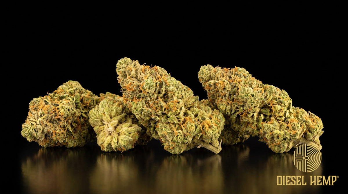 Larry OG strain cannabis buds, dense and green with long burnt-orange pistils and a heavy trichome frost on a black background | Diesel Hemp