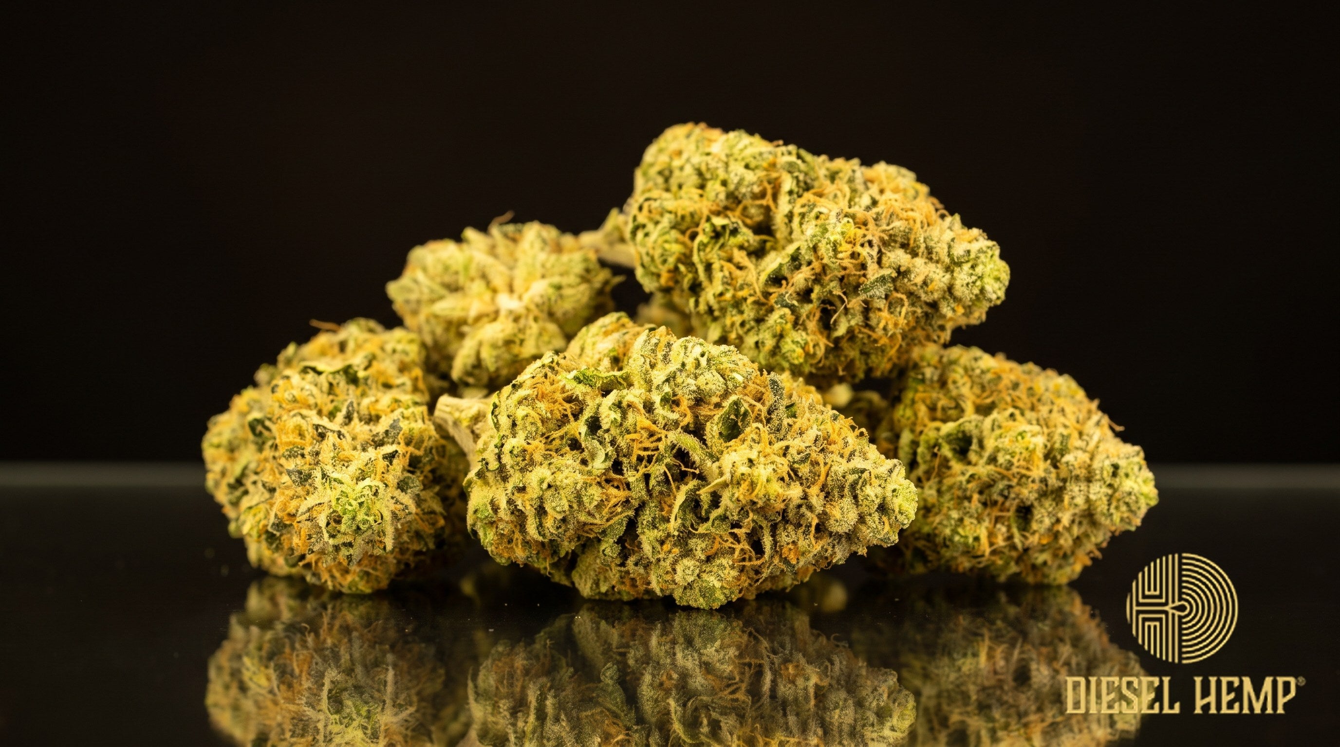 Lemon Drop strain cannabis buds in light lime green with orange pistils and a heavy trichome frost on a black background | Diesel Hemp