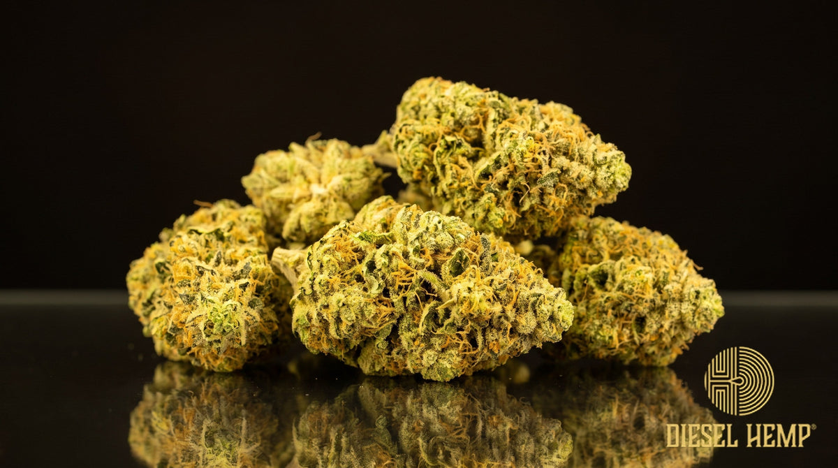 Lemon Drop strain cannabis buds in light lime green with orange pistils and a heavy trichome frost on a black background | Diesel Hemp