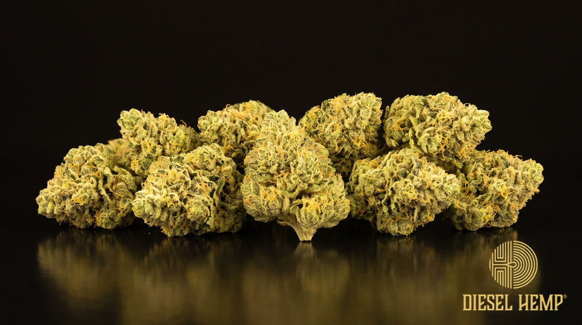 Lemon Kush strain cannabis buds — light green, medium-dense nugs with orange pistils and a white frosting of trichomes on a black background | Diesel Hemp