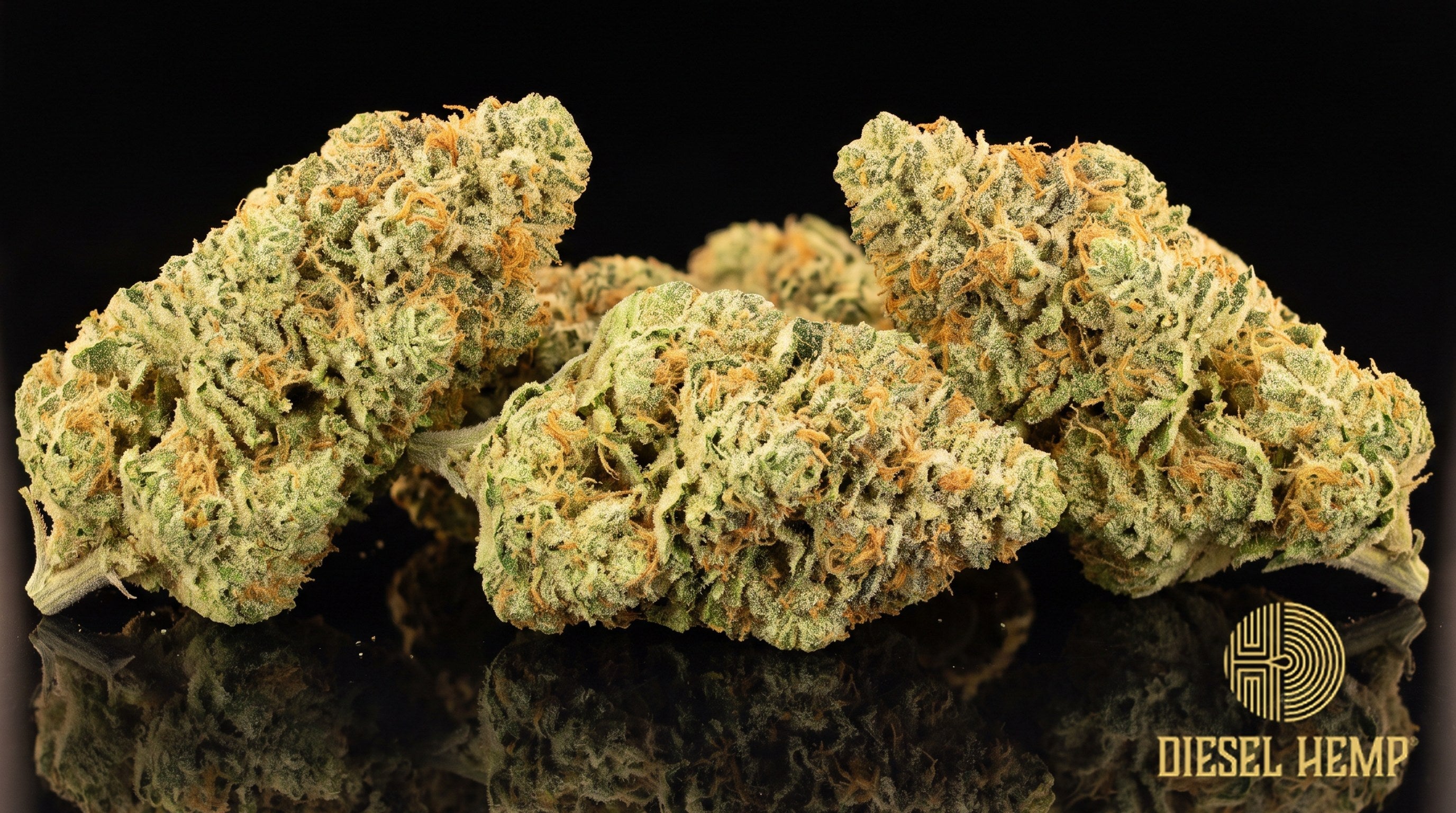 Lemon OG strain cannabis buds — dense, lime-green OG-style nugs with orange pistils and a heavy coat of trichomes on a black background | Diesel Hemp