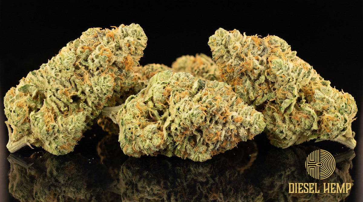 Lemon OG strain cannabis buds — dense, lime-green OG-style nugs with orange pistils and a heavy coat of trichomes on a black background | Diesel Hemp