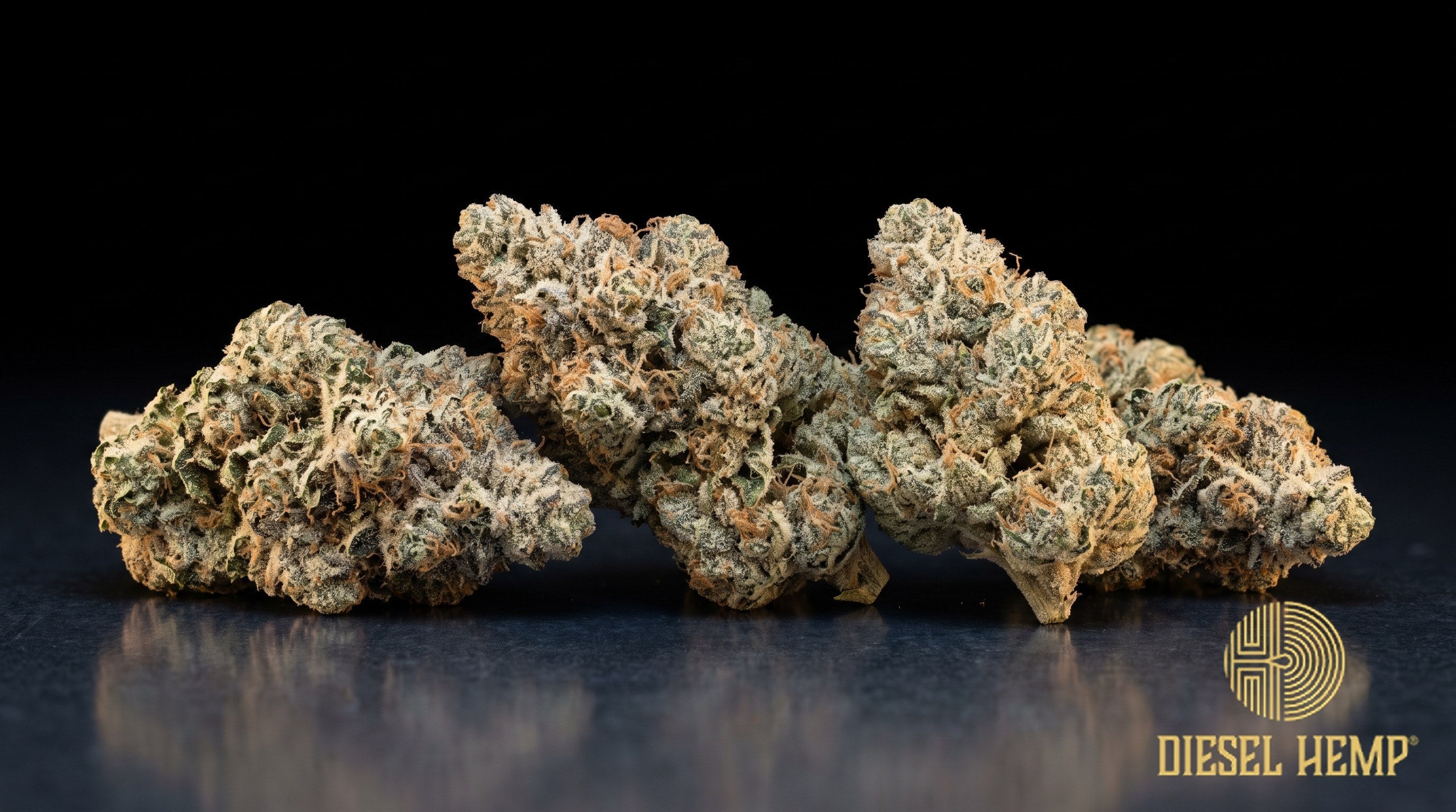 Lemon Pound Cake strain cannabis buds in emerald green with thin orange pistils and trichome frost on a black background | Diesel Hemp