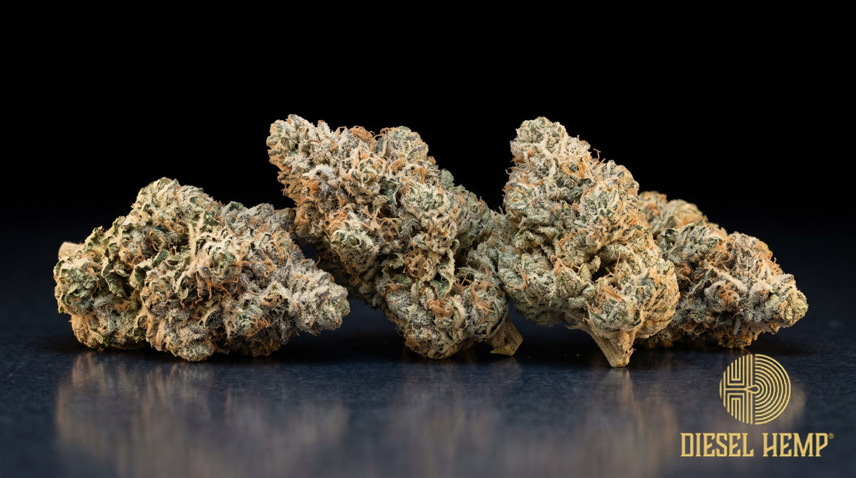 Lemon Pound Cake strain cannabis buds in emerald green with thin orange pistils and trichome frost on a black background | Diesel Hemp