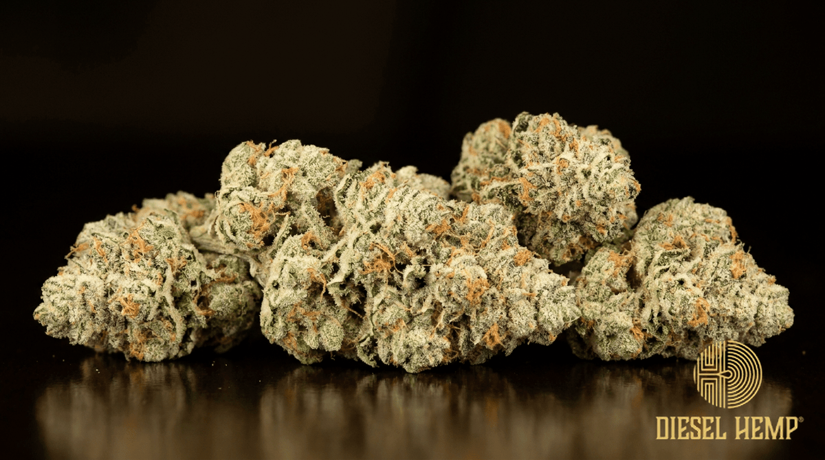 MAC (Miracle Alien Cookies) strain cannabis flower buds on black background — frosty pale-green nugs with orange pistils | Diesel Hemp