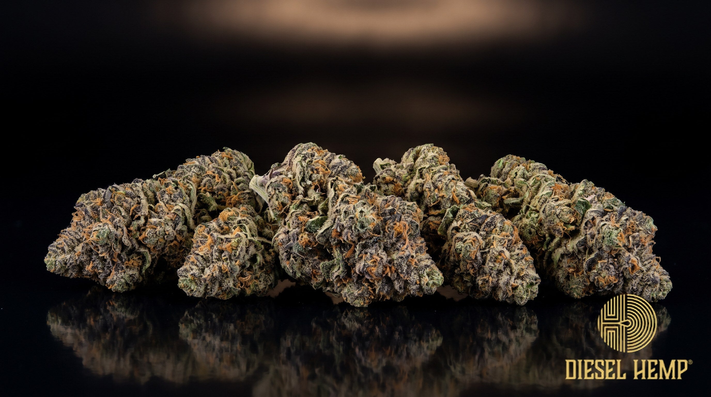 Mandarin Cookies strain cannabis buds in olive and wintergreen with orange pistils, faint purple hints and a heavy trichome frost on a black background | Diesel Hemp