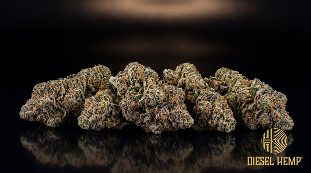 Mandarin Cookies strain cannabis buds in olive and wintergreen with orange pistils, faint purple hints and a heavy trichome frost on a black background | Diesel Hemp
