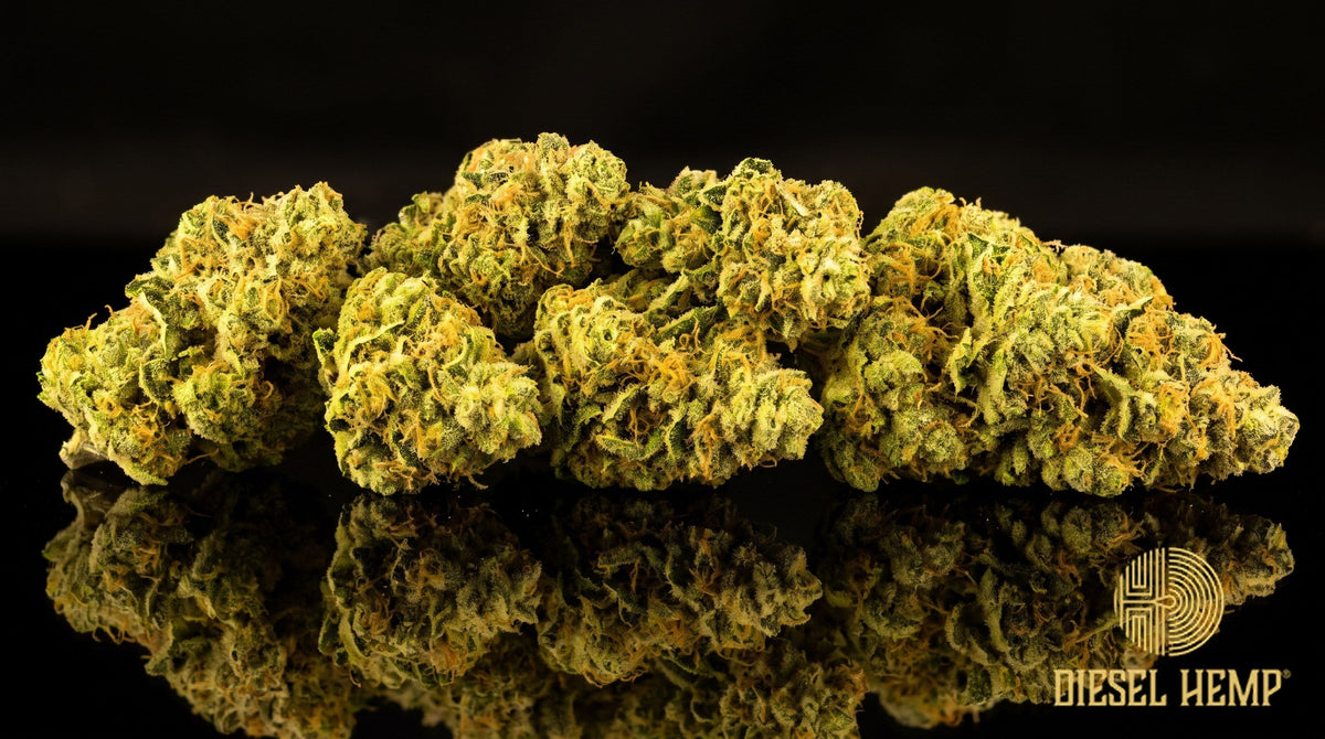 Melonade strain cannabis buds, dense spade-shaped neon-green nugs with bright orange pistils and an amber-gold trichome frost on a black background | Diesel Hemp