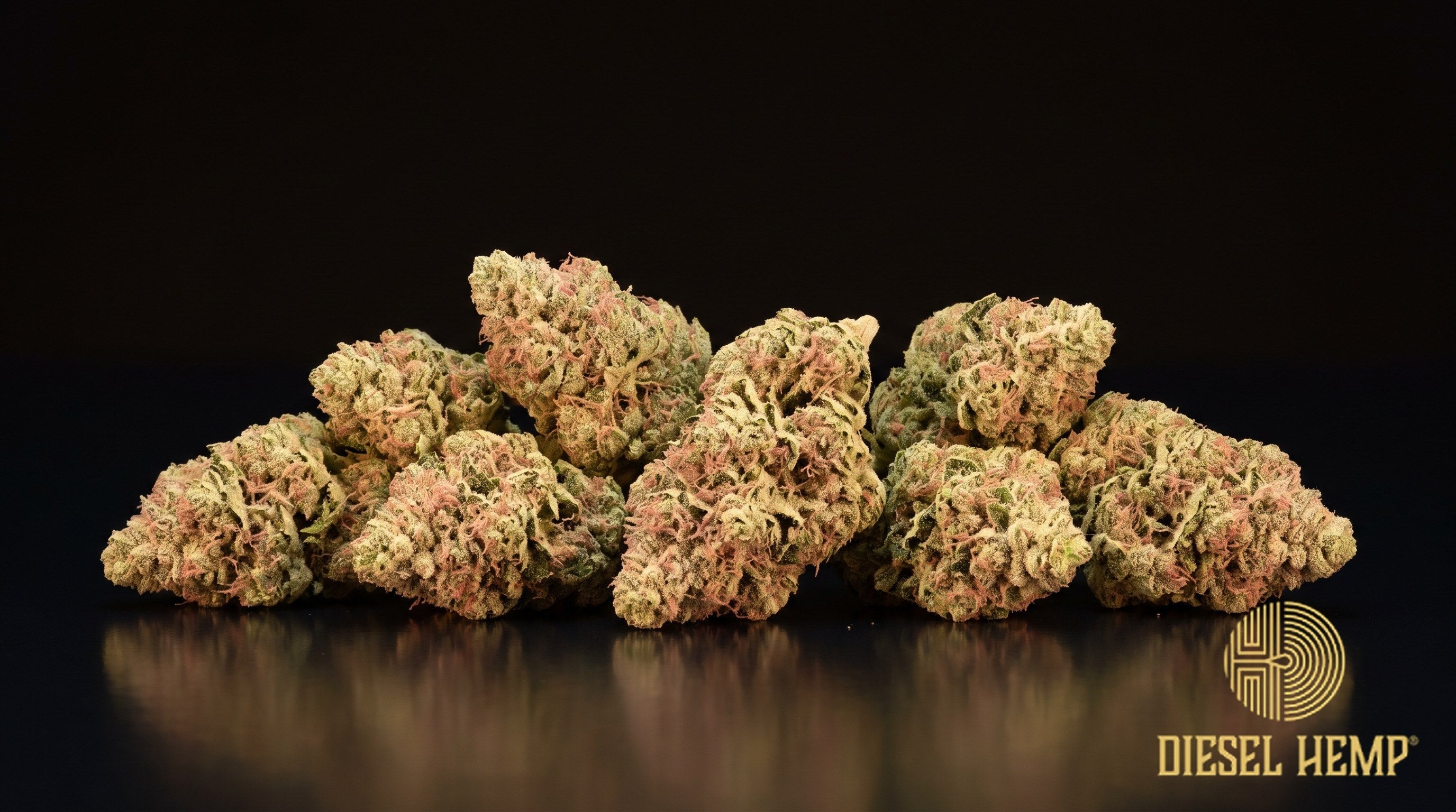 Melted Strawberries strain cannabis buds in forest green with strawberry-blond pistils and a heavy golden-white trichome frost on a black background | Diesel Hemp