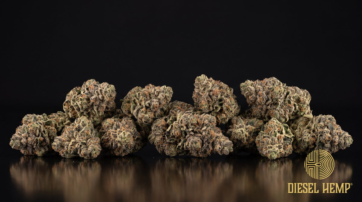 Mint Chocolate Chip strain cannabis buds in deep forest green with orange pistils and a heavy trichome frost on a black background | Diesel Hemp